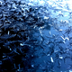 Illustration for article titled Shooting Challenge: Ice, Gallery 2